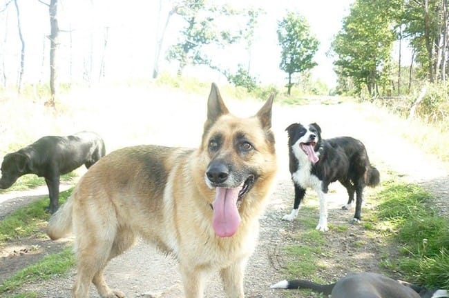 Qui est partant pour une promenade dans le 91 ? 