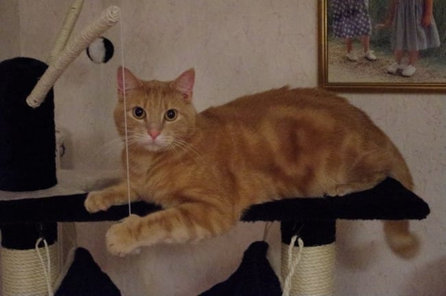 Sweety : une futur star !