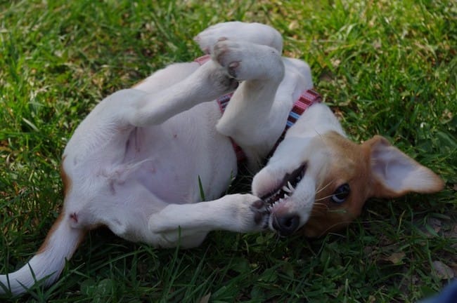 Lilo en photos et vidéo ! 