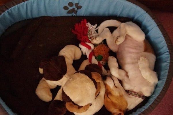 Positions insolites lors des siestes