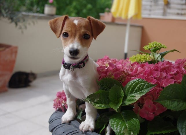 Lilo'trésors en images ! 