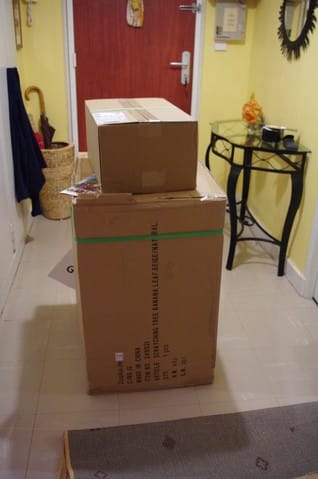 Nouvel arbre à chat 