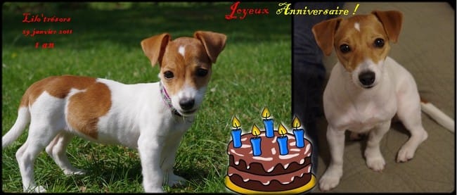 Invitation à l'anniversaire de Lilo'trésors le 29 Janvier 2012