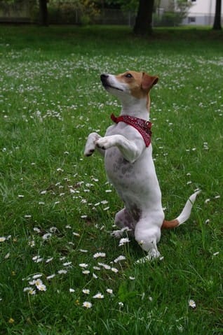 Hernie ombilicale qui se ré-ouvre 