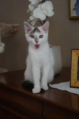 Attention aux fuites quand vous fermez vos portes !