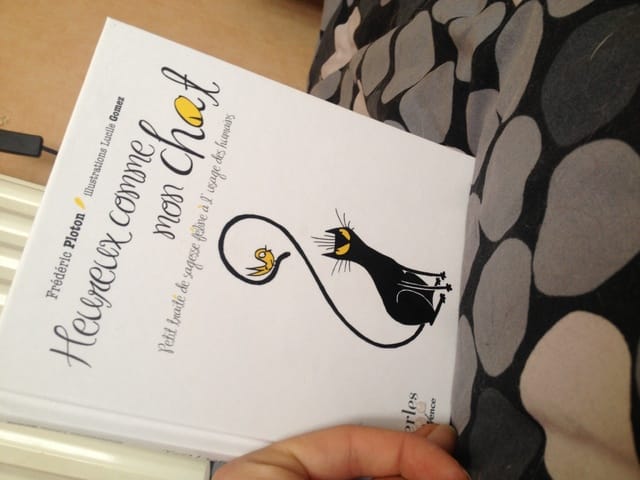 Idée de lecture sur les chats