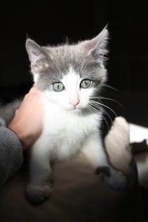 mon coeur de coeur reversé 