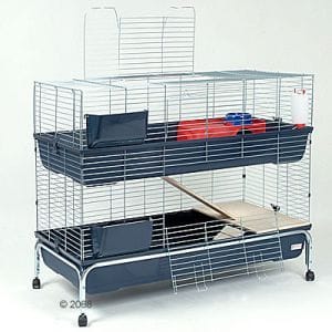 Est-ce qu'un furet peut vivre dans une cage à lapin ?