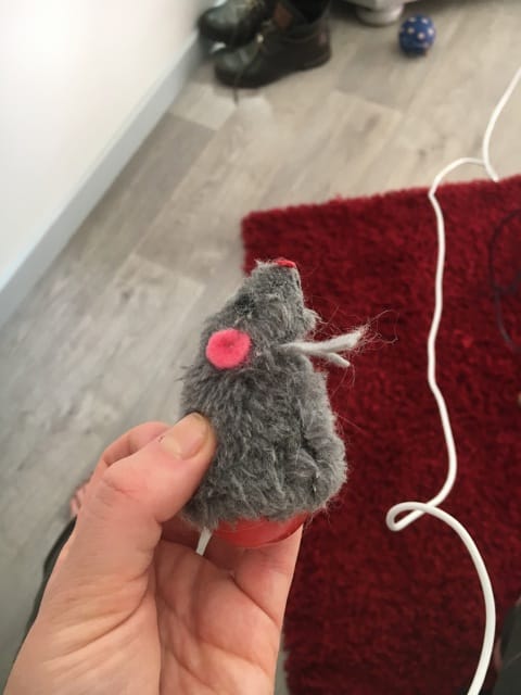 Je partage ce jouets que l’esbroufe chats adorent, et vous quels sont vos secrets ?