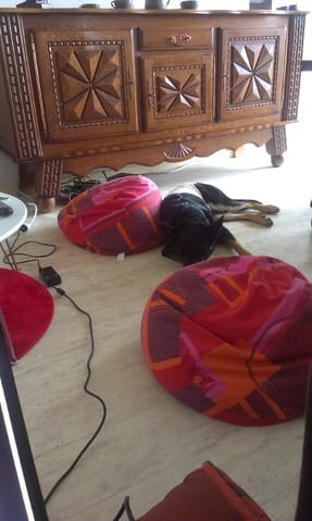 Alaska est arrivée à la maison :D