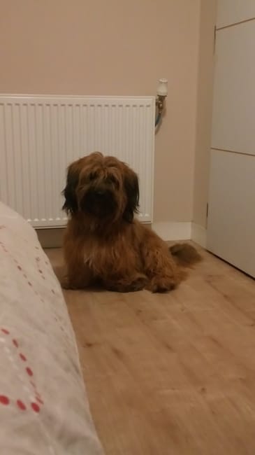 Problème de races...