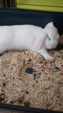 Discuter et partager