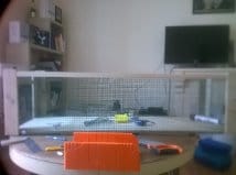 une cage fait maison pour mes cochons d'indes
