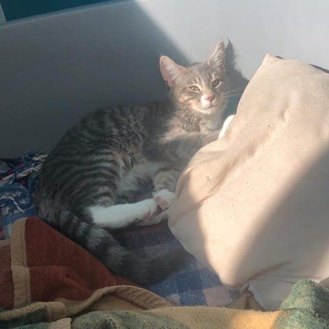 L’impression de m’être fait arnaquer…