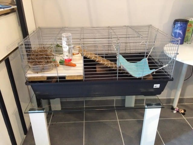 Adaptation cage