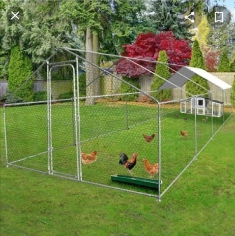 Pour mon lapin la nuit