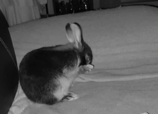 Mort sans explication