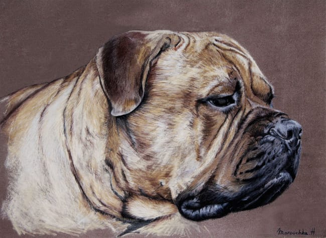 Les animaux en peinture :)