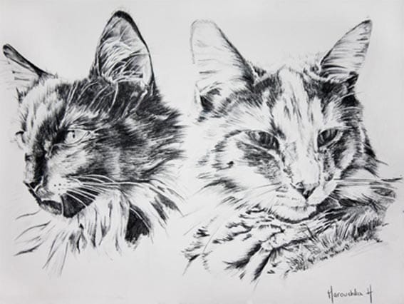 Vos chat en peinture :D