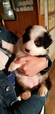 Blanc dominant ou envahissant?