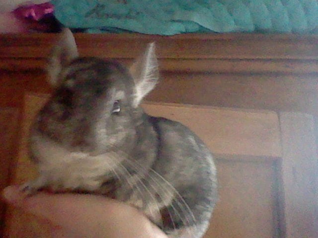 sa taille est normal ?