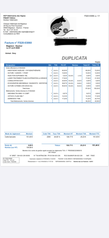 Cagnotte - Dory accidentée de la route