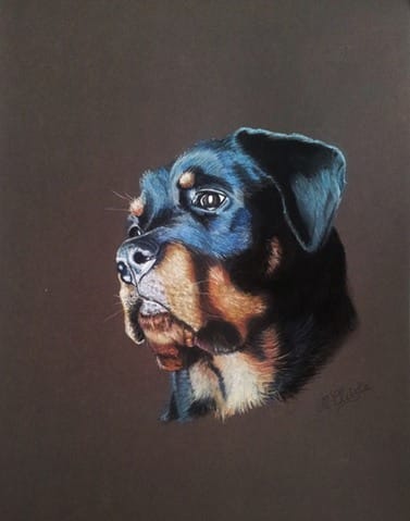 Vos compagnons en tableau 