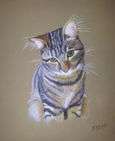 mon chat en peinture
