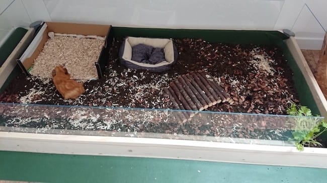 Cage faite maison