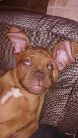 Contorsionnisme et tête de fous