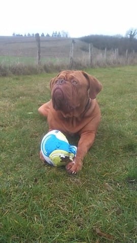 Des photos, pleins de photos !