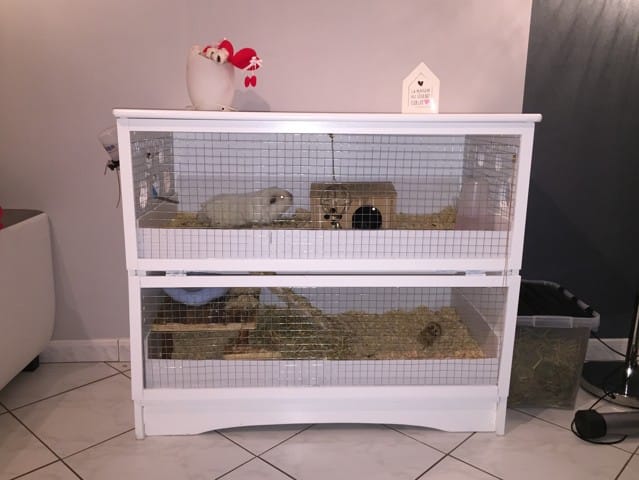 Vos créations de cages