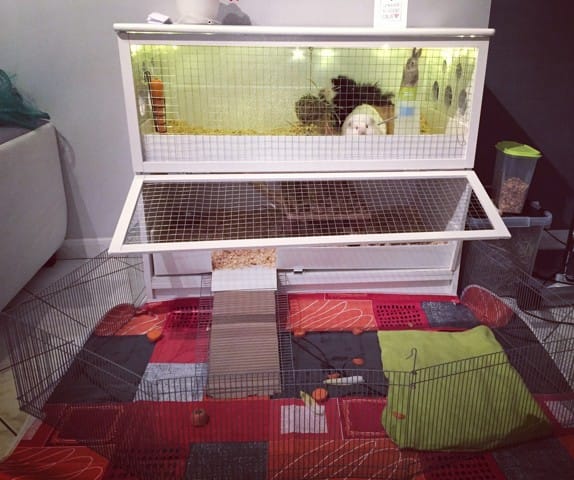 Polaire, Dry Bed vos avis