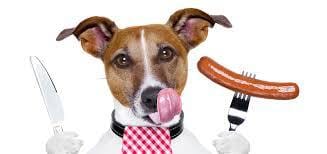 Friandises pour récompenses CHIENS