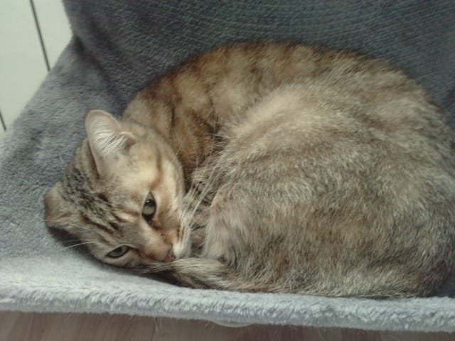 marquage sur mes vetement.