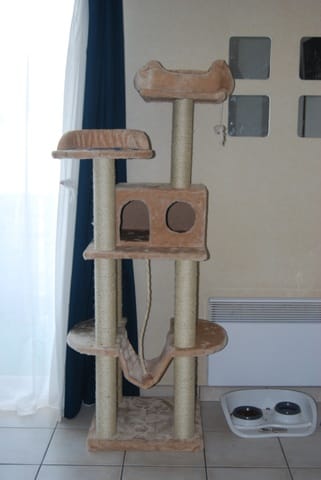 Nouvel arbre à chat !