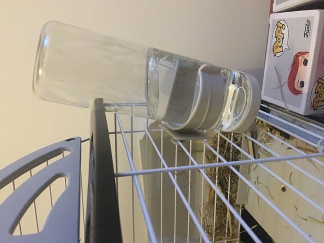 Inquiète pr mon lapin