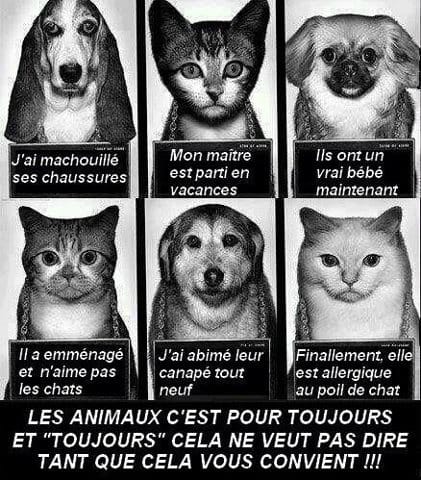 Si sa peux rafraîchir les idées de certains ou certaines