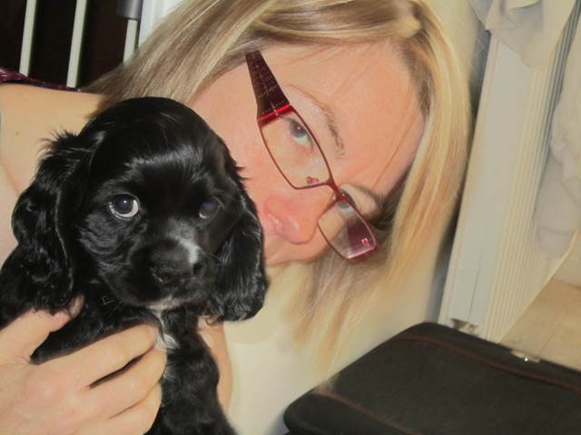 Comportement du chiot