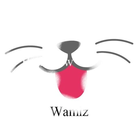 Wamiz...bien plus qu'un site ! Un univers tout entier...