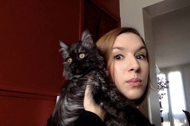De quel "type" est mon chat de gouttière? 