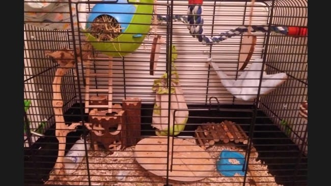 Créer une cage naturelle