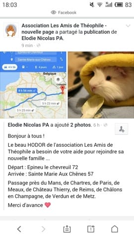 Recherche de covoiturage pour Hodor