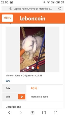 Encore un lapin offert comme un objet !