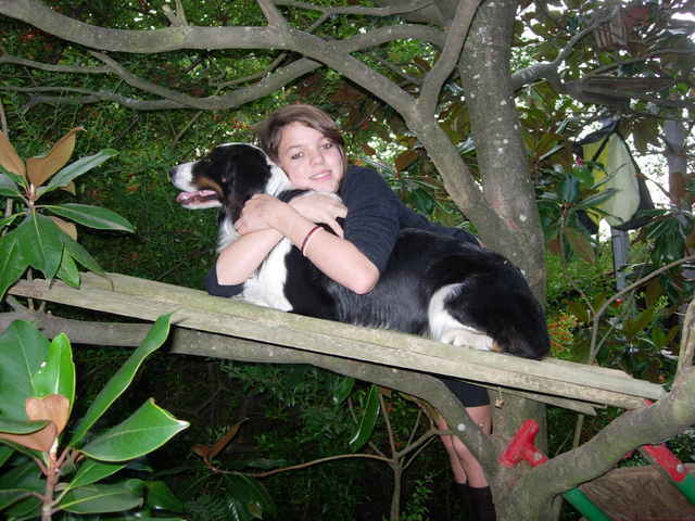 Ha les chiens,nos amis!