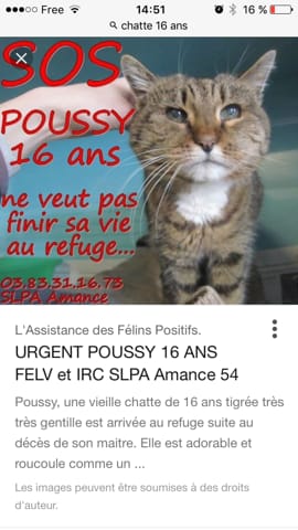 Besoins de vos avis !!