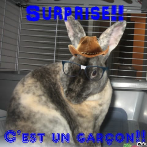 Surprise un mâle