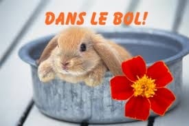 Partager vos créations!