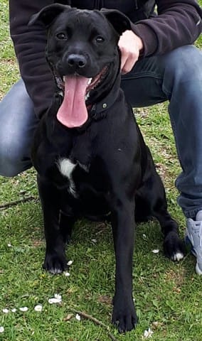 Que pensez-vous de ma staff