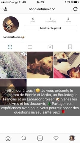 Venez nous suivres :)